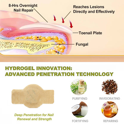 🍃Cvreoz® Nail Fungal Patches Pro+
